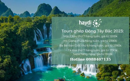 Haydi Tour - Du Lịch Trải Nghiệm
