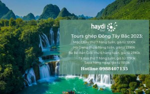 Haydi Tour - Du Lịch Trải Nghiệm