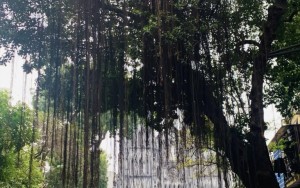 Số 5 phố Nhà Thờ