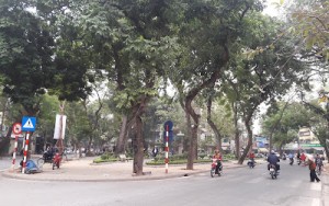 Vườn Hoa Yecxanh (Yersin Garden)