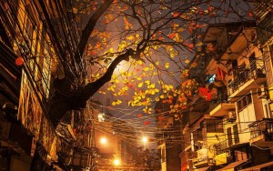 Im Lặng Đêm Hà Nội