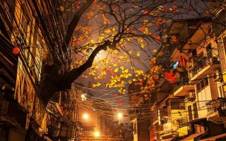 Im Lặng Đêm Hà Nội