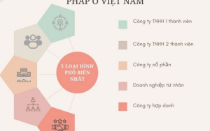 Các loại hình doanh nghiệp