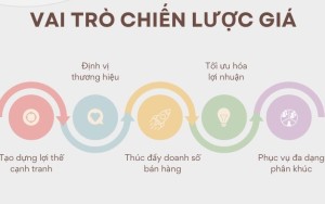 Cộng tác chuyên gia