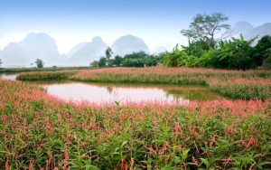 CÂU CHUYỆN ÁNH SÁNG của NGÔ DƯ