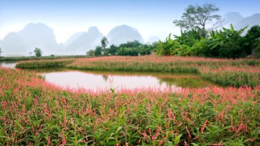 CÂU CHUYỆN ÁNH SÁNG của NGÔ DƯ