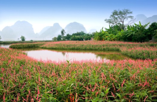 CÂU CHUYỆN ÁNH SÁNG của NGÔ DƯ