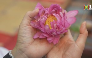 Workshop Gói hương sen - Mở nếp Hà Nội