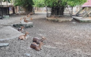 Công viên Thủ Lệ (Vườn Thú Hà Nội)