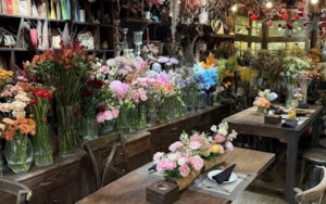 Mira Coffee & Restaurant (46B P. Quán Sứ, Hoàn Kiếm)